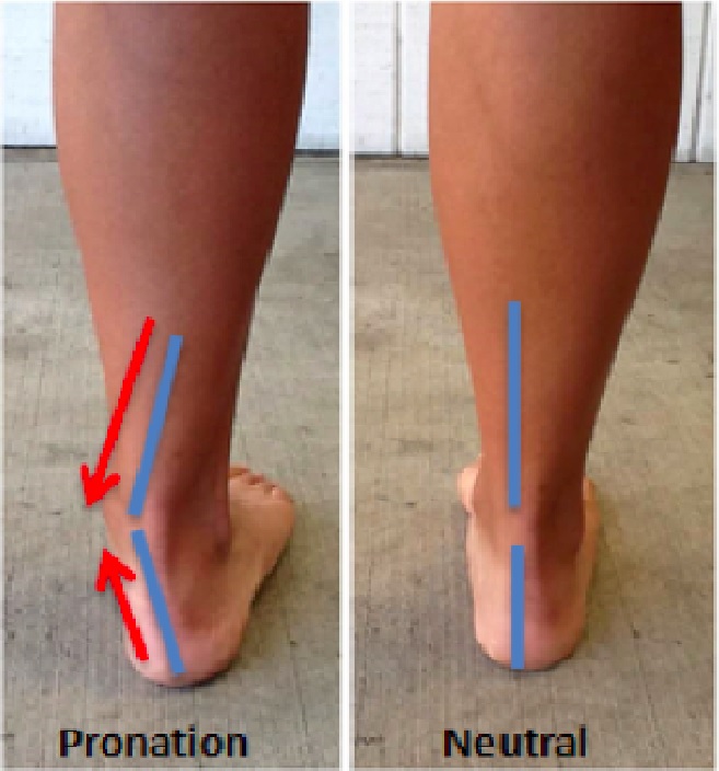AGACHAMENTO SUMÔ - movimento dos joelhos🎯 ㅤ ♳Durante os agachamentos os  joelhos devem realizar somente flexão e extensão. Assim, como citado em  diversos, By Academia Cross Fitness